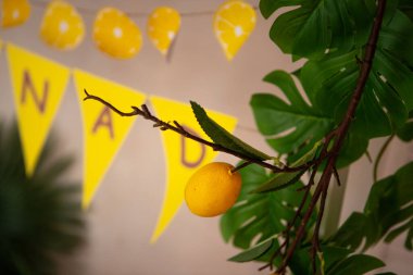 a basket of lemons with a plant in the background and a plant in the background clipart