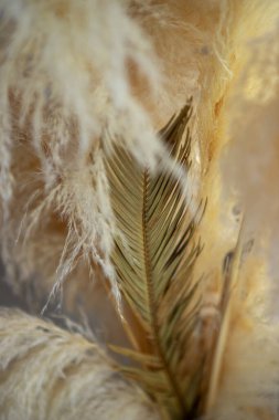 Sarı çiçekli bir vazo.