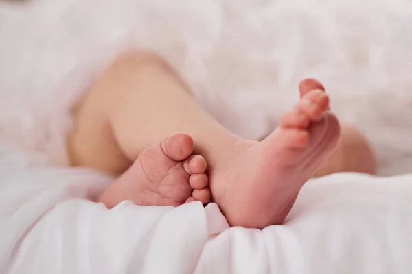 Cute Newborn Baby Feet Light Background Legs Close — Stock Photo, Image
