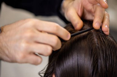 male hairdresser is combing the hair of the female client. hairdresser doing hair to his client woman