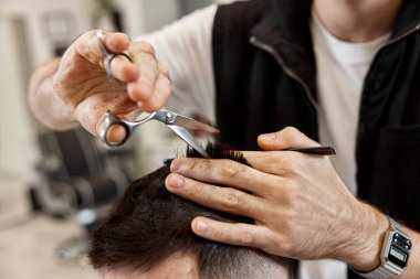 Professional hairdresser does haircut for caucasian bearded man using comb and scissors at barber shop.