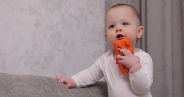 Evde Renkli Oyuncak Bloklarıyla Oynayan Tatlı Bir Kız Bebek Çocuklar — Stok video