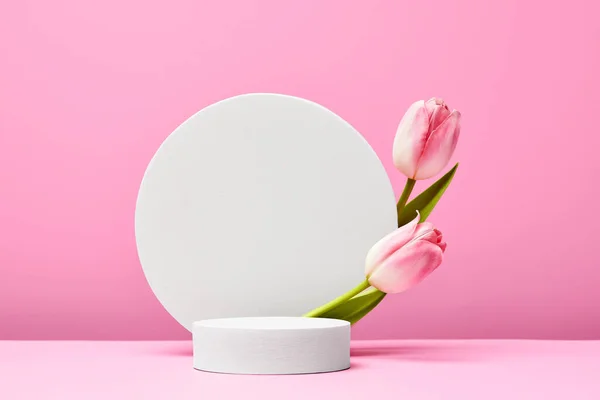 Prázdné Bílé Kulaté Pódium Pro Prezentační Produkty Kosmetiku Pastelovými Tulipány — Stock fotografie
