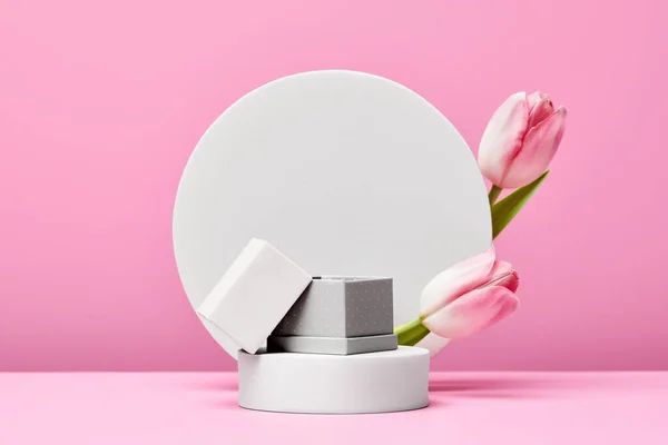 Pudełko Białym Okrągłym Podium Pastelowymi Tulipanami Różowym Tle Minimalna Scena — Zdjęcie stockowe