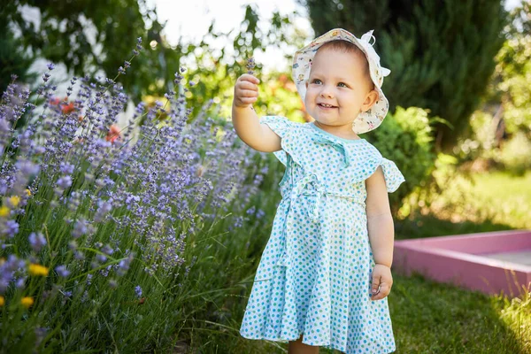 Aranyos Kislány Játszik Szellemes Virág Levendula Napos Nyári Napon — Stock Fotó