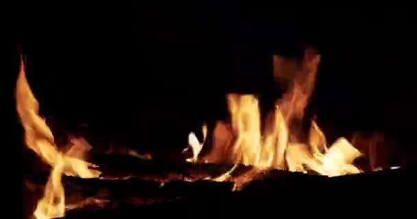 用明亮的火焰在壁炉内燃烧的木头 — 图库视频影像