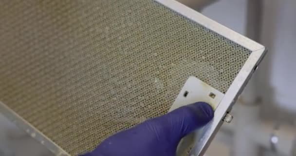 Rengöring Aluminium Mesh Filter Spiskåpa Med Hjälp Sprutning Rengöringslösning Från — Stockvideo