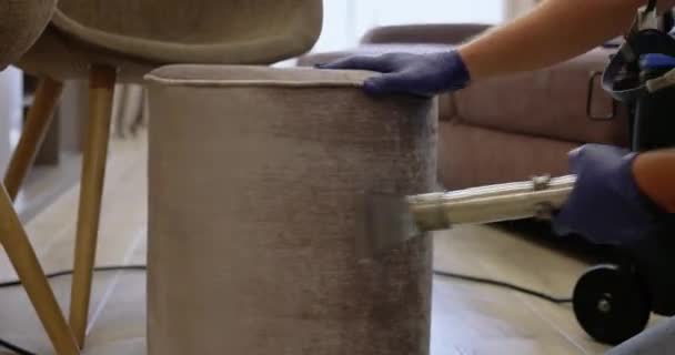 직업적인 청소기를 오스만 장식품의 건조한 — 비디오