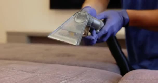 Limpeza Seco Estofos Sofá Com Aspirador Lavagem Profissional — Vídeo de Stock