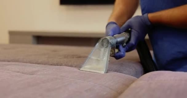 직업적인 청소기를 장식품의 건조한 소파에서 먼지와 — 비디오