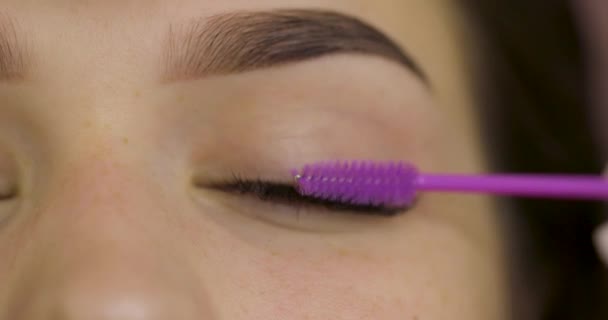 Master Kämmt Die Wimpern Des Kunden Nach Der Wimpernverlängerung Kosmetologie — Stockvideo