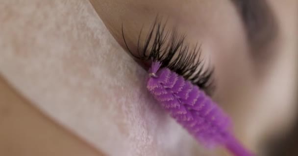 Master Kämmt Die Wimpern Des Kunden Nach Der Wimpernverlängerung Kosmetologie — Stockvideo