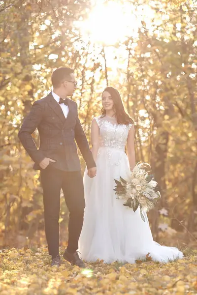 在阳光灿烂的日子里 身穿白色婚纱的漂亮新娘和新郎手牵手站在一起 — 图库照片