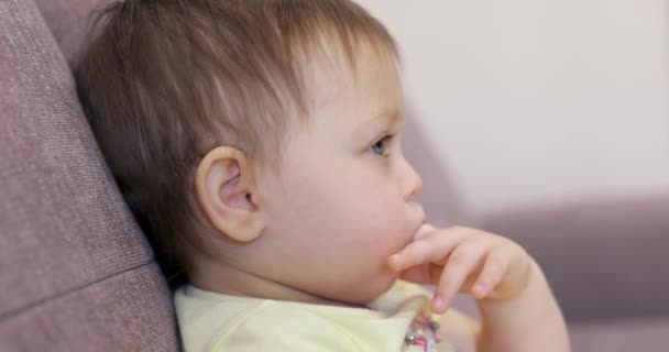 子供の少女は彼の手で彼の指を吸い 自宅でコーチに座ってテレビを見ている小さな赤ちゃんの子供 — ストック動画