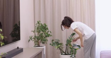 Kafkasyalı kadın teneke kutu tutuyor ve evdeki saksılarda yeşil bitkileri suluyor..