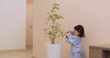 Şirin küçük kız evdeki bitkilerle ilgileniyor. Elinde su bidonu saksısı tutan çocuk.