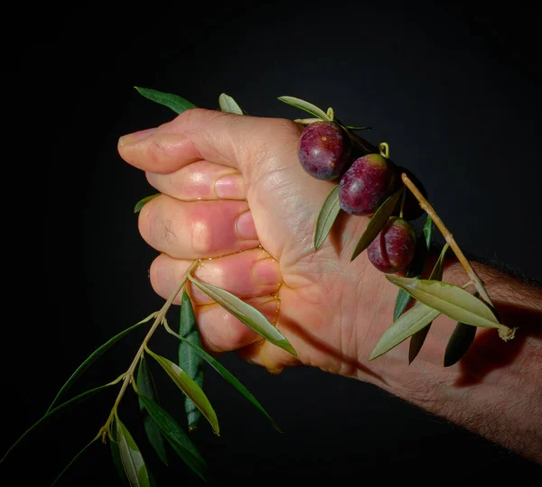 A strong human hand squeezing some ripe olives