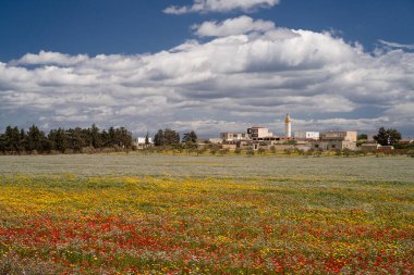 Kuzey Doğu Tunus 'tan Kaptan Bon' un çeşitli görüşleri