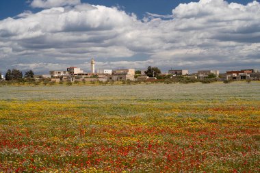 Kuzey Doğu Tunus 'tan Kaptan Bon' un çeşitli görüşleri
