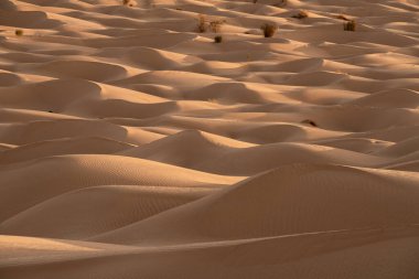 Çöl manzarası, Douz bölgesi, güney Tunus