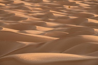 Çöl manzarası, Douz bölgesi, güney Tunus
