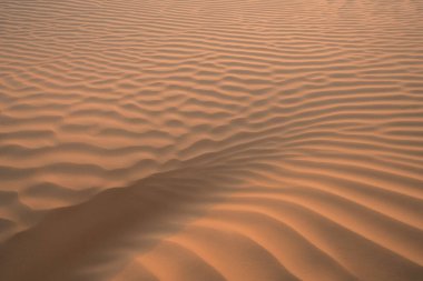 Çöl manzarası, Douz bölgesi, güney Tunus