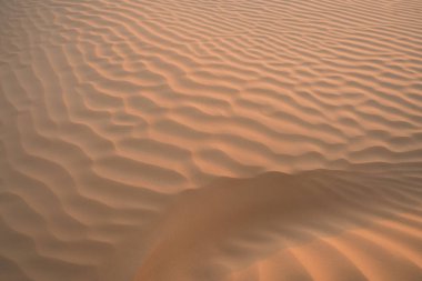 Çöl manzarası, Douz bölgesi, güney Tunus