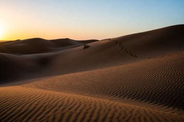 Çöl manzarası, Douz bölgesi, güney Tunus