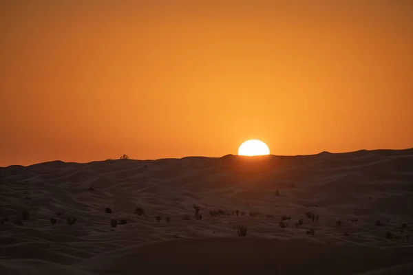 Vistas Del Desierto Región Douz Sur Túnez — Foto de Stock