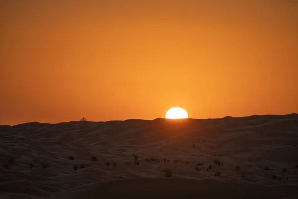 Views Desert Douz Region Southern Tunisia — Stock Photo, Image
