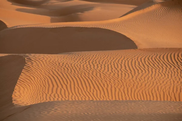 Άποψη Της Ερήμου Περιοχή Douz Νότια Τυνησία — Φωτογραφία Αρχείου