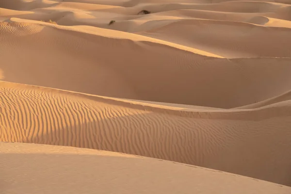 Άποψη Της Ερήμου Περιοχή Douz Νότια Τυνησία — Φωτογραφία Αρχείου
