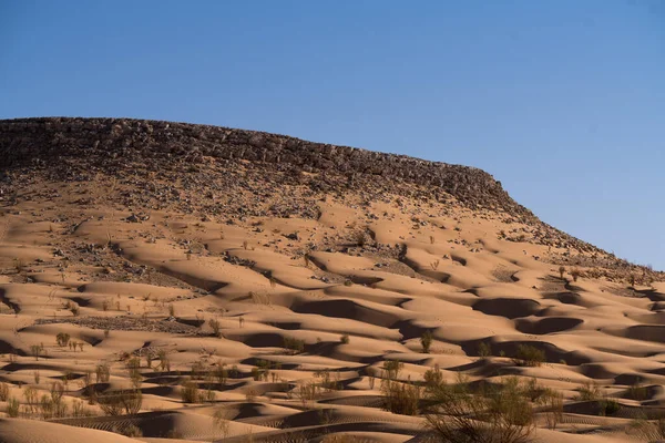 Vistas Del Desierto Región Douz Sur Túnez —  Fotos de Stock