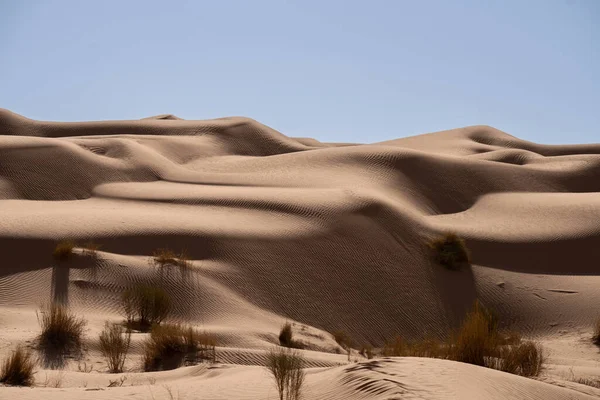 Ansichten Der Wüste Region Douz Südtunesien — Stockfoto