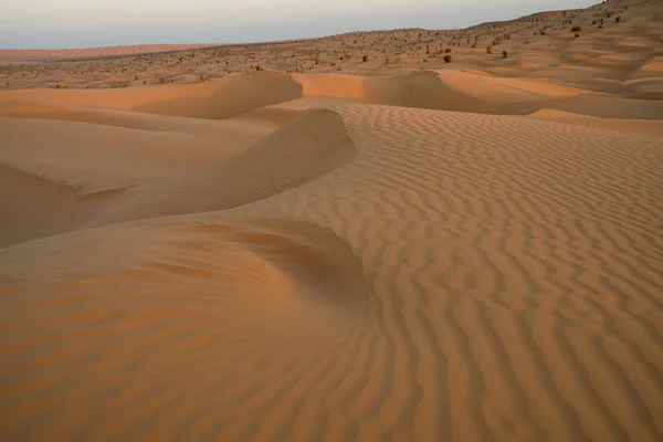 Vista Sul Deserto Regione Douz Tunisia Meridionale — Foto Stock