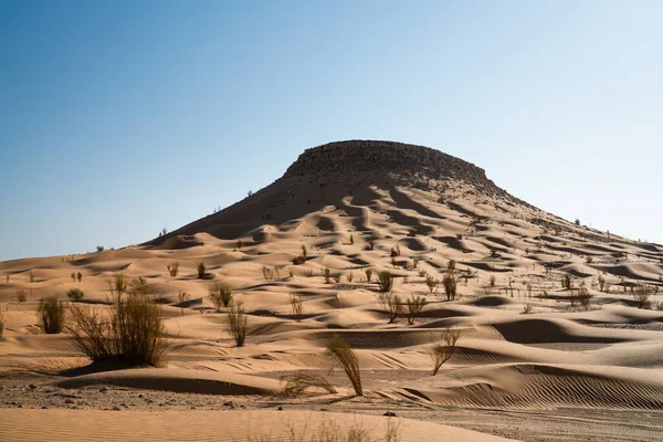 Views Desert Douz Region Southern Tunisia — Stock Photo, Image