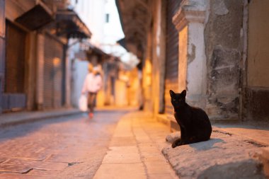 Tunus Medine 'sinin görüşleri - Tunus