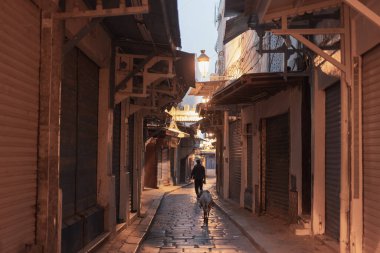 Tunus Medine 'sinin görüşleri - Tunus