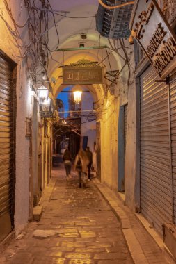 Tunus Medine 'sinin görüşleri - Tunus