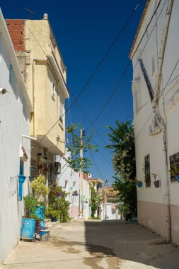 Testin Görüşleri - Kuzey Tunus