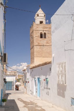 Testin Görüşleri - Kuzey Tunus