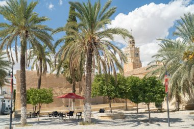 Testin Görüşleri - Kuzey Tunus