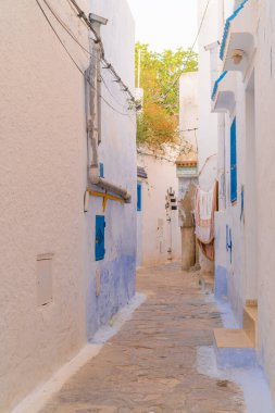 Hammamet - Kuzeybatı Tunus Şehri - önemli turizm merkezi.