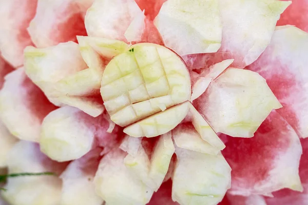 stock image Pictures of different dishes