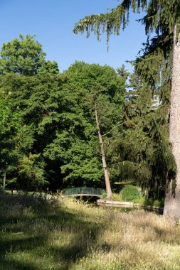 Grenoble, Grenoble ve Alpler 'in şehir manzarası, Fransa