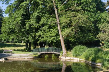 Grenoble, Grenoble ve Alpler 'in şehir manzarası, Fransa
