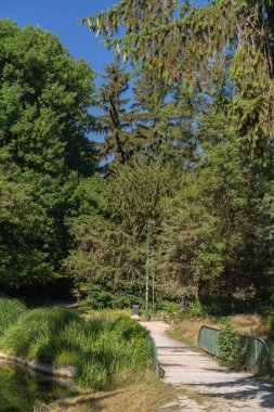 Grenoble, Grenoble ve Alpler 'in şehir manzarası, Fransa