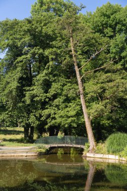 Grenoble, Grenoble ve Alpler 'in şehir manzarası, Fransa
