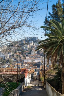 View of the buildings and streets of Skikda, North Algeria
