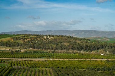 Konstantin - Kuzeydoğu Cezayir 'in Konstantin Eyaleti' nin başkenti.